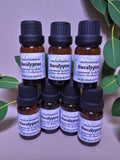 Eucalyptus Essential Oil (Eucalyptus globulus)